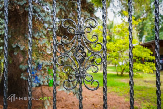 Ornament im Zaun, Rosette im Zaun